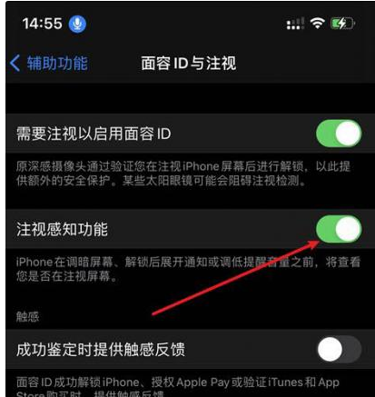 富平苹果14维修网点分享iPhone14注视感知功能有什么用 